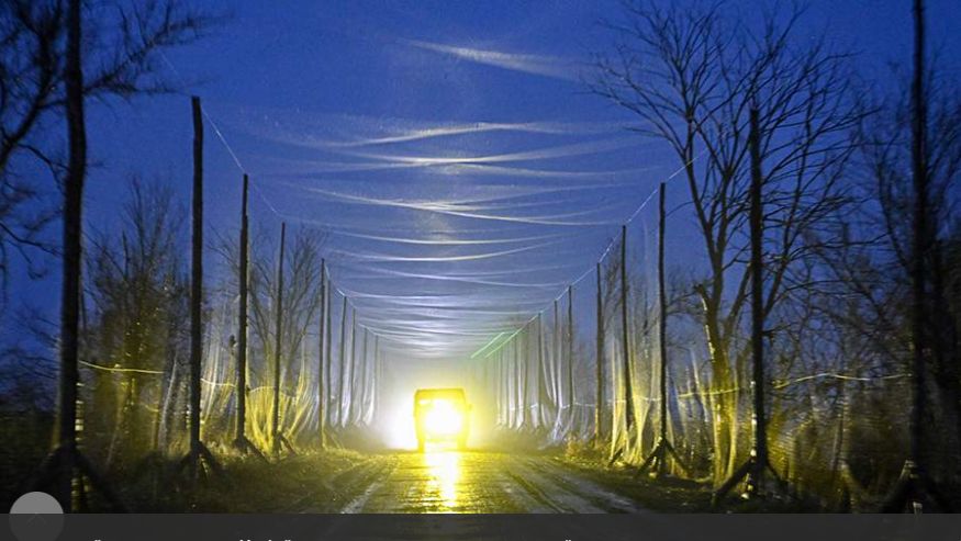 В России разработали способную самозатягивать дыры противодроновую сеть