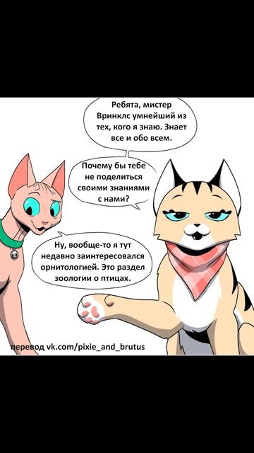 Шоу Пикси Пикси и Брут