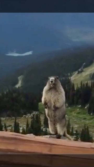 584ec6dd969cab42d3c27879074073dd