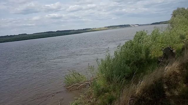 Суровый Иртыш левый берег