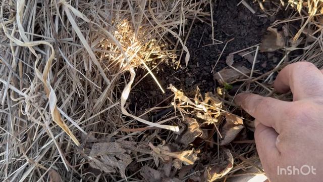 Поездка на дачу 17 апреля . Укрыли теплицы плёнкой