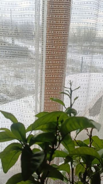 Погода плевала на ваше глобальное потепление 18.04.2026