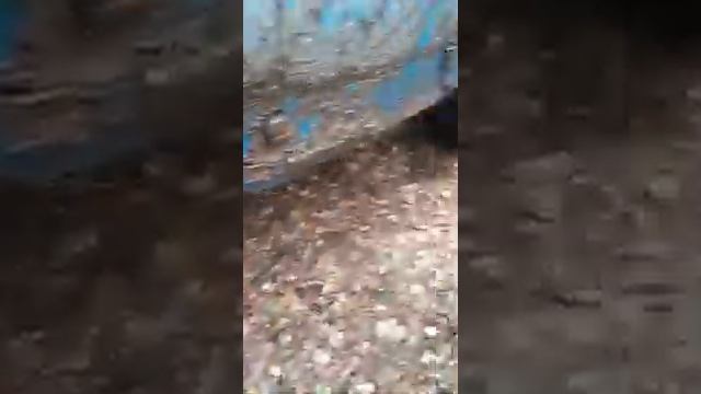 Поездка по лесу 2.11.25 уаз нива Митсубиси квадроцикл иж ода на полном приводе бездорожье Off-road