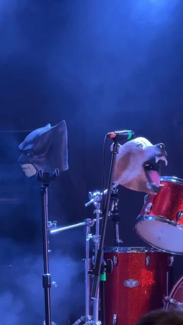 Тедди Бир и Бэтмен с нами а ты?