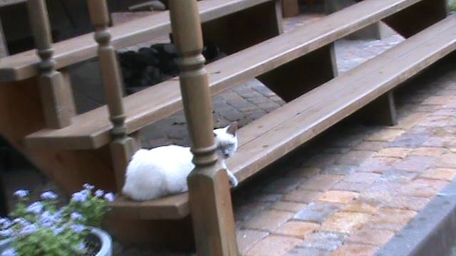 62ТАТЬЯНОВКА ЛЕСНОЕ ПОМЕСТЬЕ