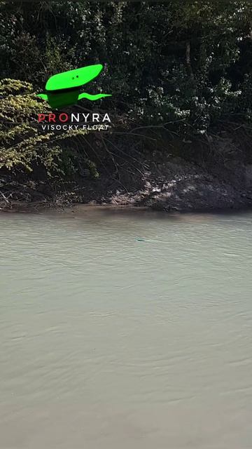 Кораблик Высоцкого ПРОНЫРА поплавок_высоцкого Pronyra бомбарда сплетня кораблик санки нахлыст