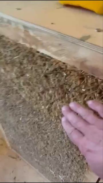 Здоровый дом из соломы или сена дышащие стены и идеальный микроклимат