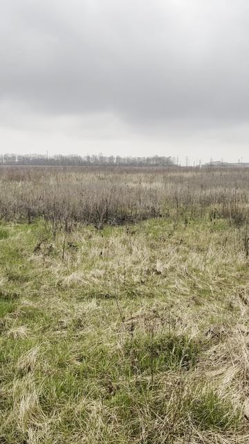 Copy_680144B9-9481-460D-9437-391C1433044B