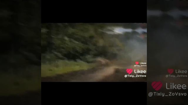 Cf810b4ee77b82e24f244089806bb80d