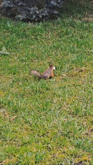 ГОРЯЧИЕ НОВОСТИ