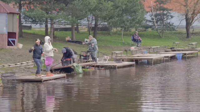 Светлые Горы Форель14 18.04.2026г.