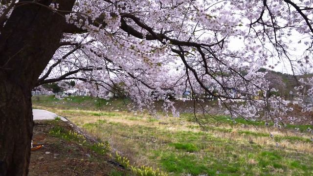 После заморозков