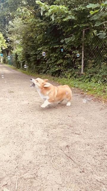 26 июля 2023 г.