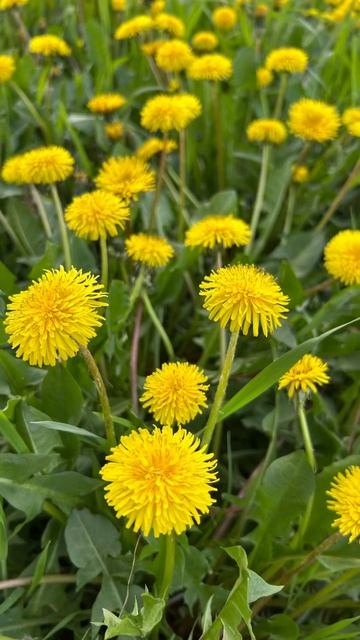 Ты только люби себя