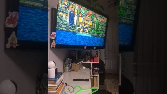 79823150679__394B3D1D-66E6-48A3-971C-3C1AC55F58F0