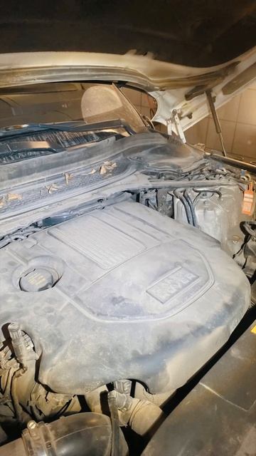 Мойка двигателя и подкапотного пространства Land Rover Range Rover #мойкадвигателя #rangerover
