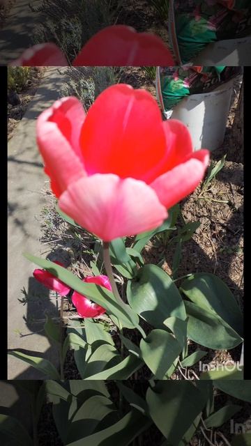 Я не поверил...