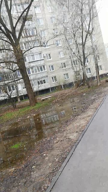 VID_20260418_093207.mp4