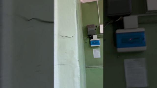 Знакомство с Красносельской