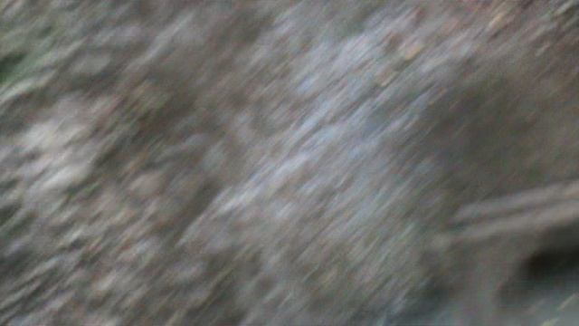 58)О БЕРЕНДЕЕВОЕ ЦАРСТВО