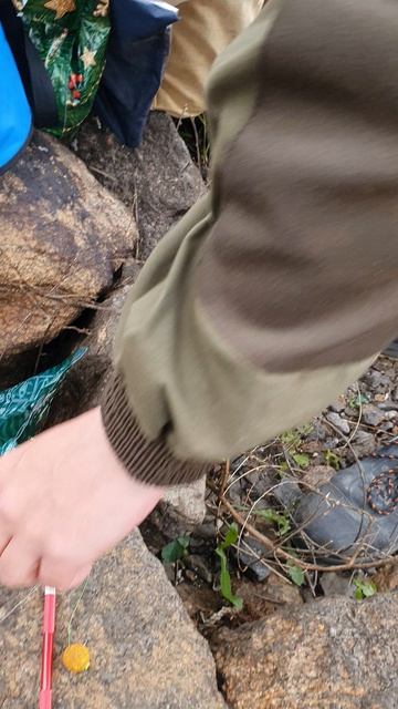 На рыбалке готовим донку