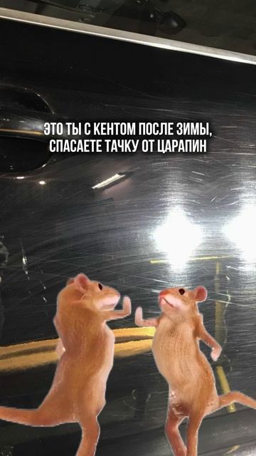 Спасаем машину от царапин