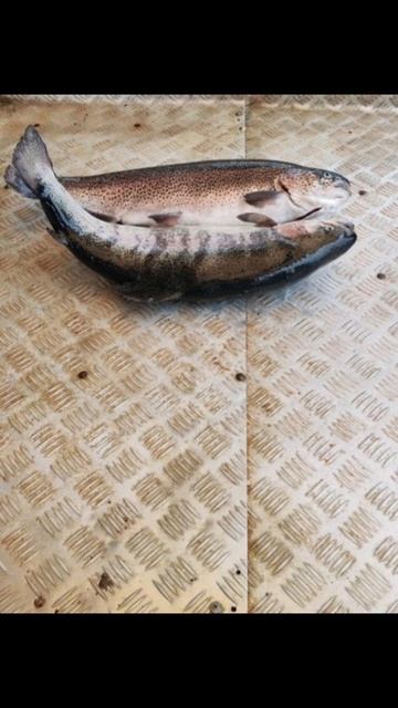 D7b7fe381fa7a7d994f988097214f779