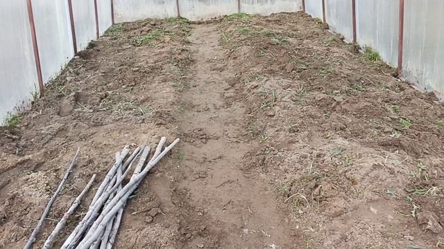 Прополка теплицы