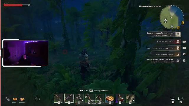 CSочка: Кривые руки