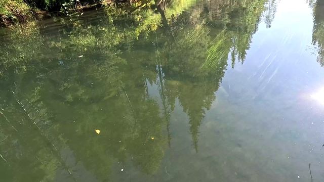 Жор у хариуса. Путешествие по кристально чистой таёжной реке.