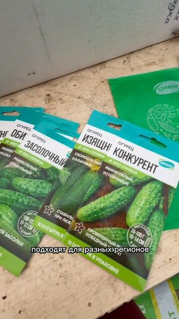 Сорта огурцов для открытого грунта: что выбрать