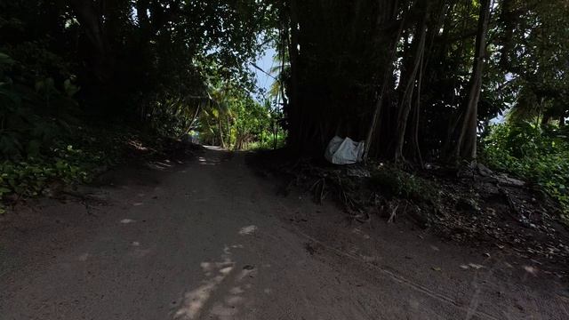 10. Поселок Мусор Фрукты Природа