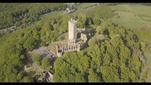 РЕПТИЛИИ И СОВЕТ 13 КОРОЛЕВСКИХ СЕМЕЙ.