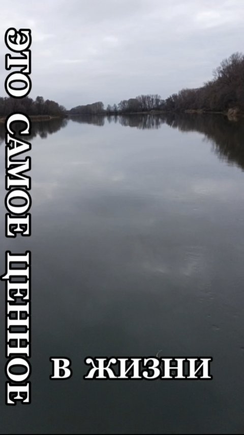 Самое ценное в жизни