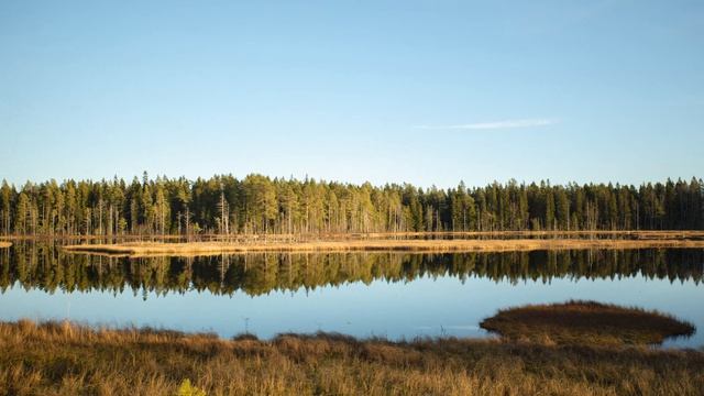 Трейлер Hela Nature Deep Dive