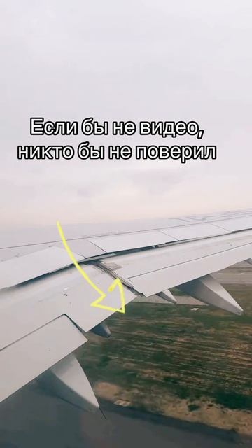 С какого раза заметили?