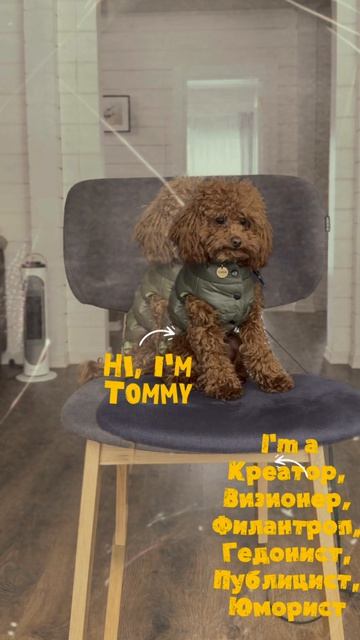 Приветствие 