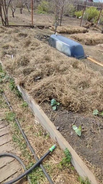 С чего начать