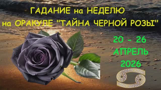 РАК: ГАДАНИЕ на НЕДЕЛЮ с 20 по 26 АПРЕЛЯ 2026 года на Оракуле ТАЙНА ЧЕРНОЙ РОЗЫ!!!