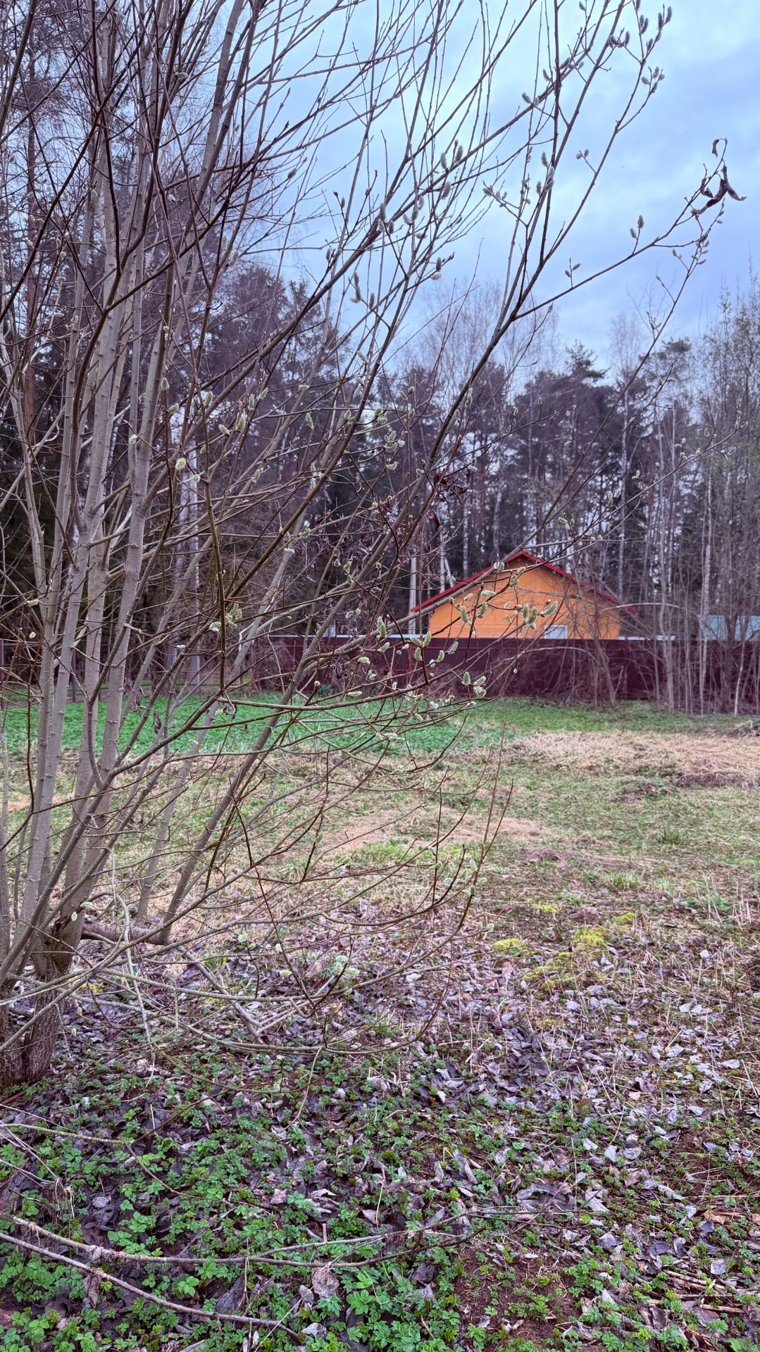 Земельный участок в д.Новоселки