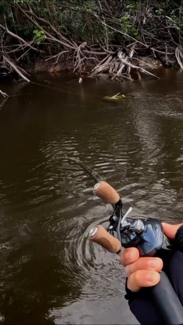 Бешеная активность рыбы