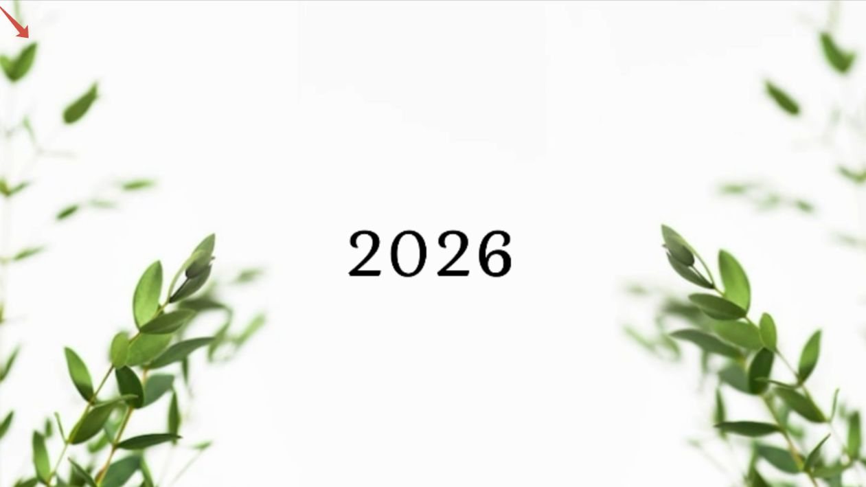 Николай Печкуров 2026