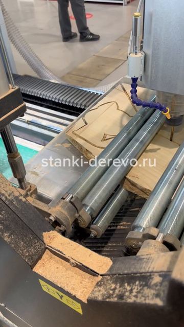 Как работает сканер пороков и дефектов по древесине тополь? Показываем HAMANN SMART AI-2506 в работе