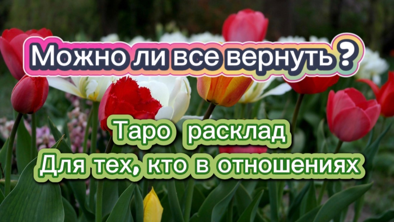 Выбор за вами! Расклад кто в отношениях!