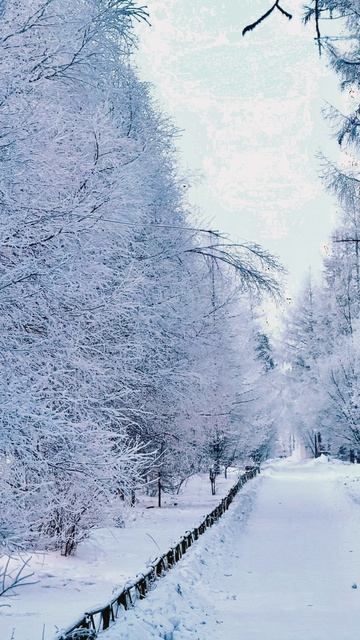 Вспоминая конец 2025 года