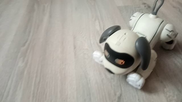 VID_20260418_150327.mp4