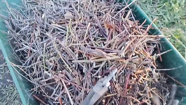 Дела в спешном порядке на даче
19.04.26.