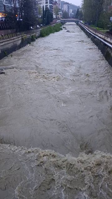 Сочи после дождя.