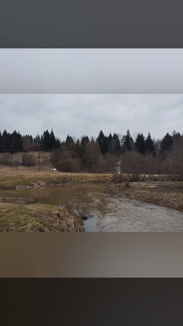 Михаил Кузмин Просохшая земля