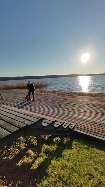 Зайчик🐰 #солнце #озеро #зайка